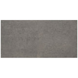 Marazzi Modern Formation 24" x 48" Matte Smoky Ridge