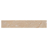 MS International Aria 3" x 18" Bullnose Polished Oro