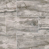 MS International Bernini 12" x 24" Matte Carbone