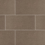 MS International Dimensions 12" x 24" Matte Concrete
