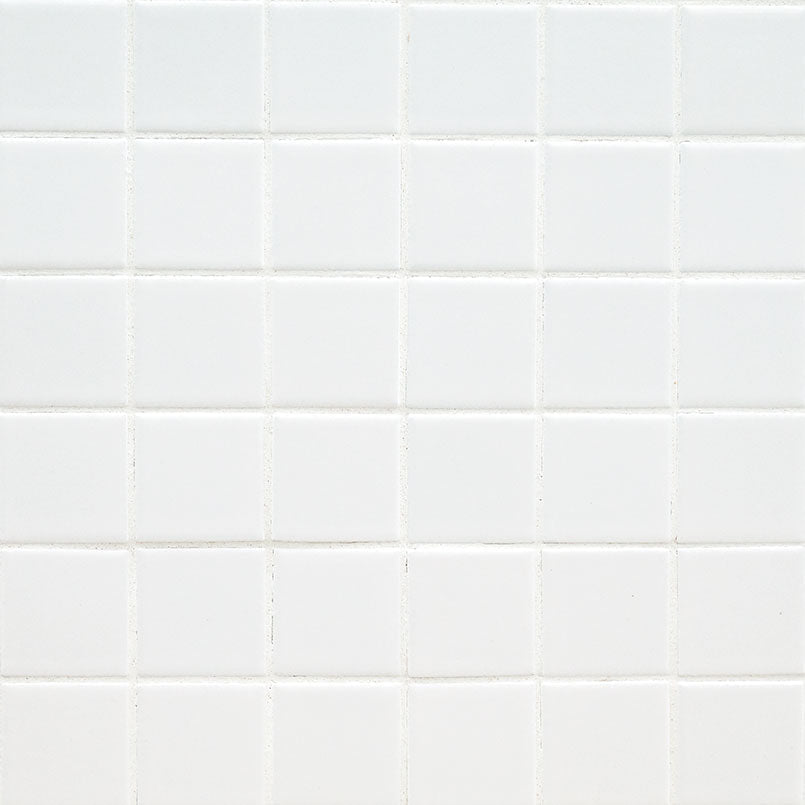 MS International Domino 12" x 12" Matte 6mm 2" x 2" White