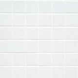 MS International Domino 12" x 12" Matte 6mm 2" x 2" White