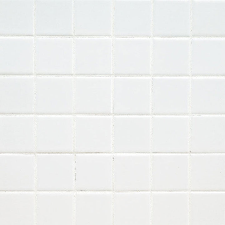 MS International Domino 12" x 12" Matte 9.6mm 2" x 2" White