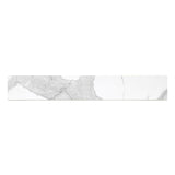MS International Eden 4" x 24" Bullnose Polished Statuary