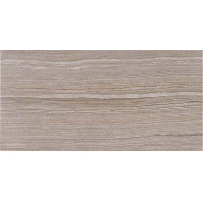 MS International Eramosa 12" x 24" Matte Silver