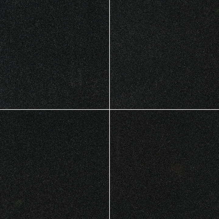 MS International Natural Stone Granite 24" x 24" Polished Premium Black