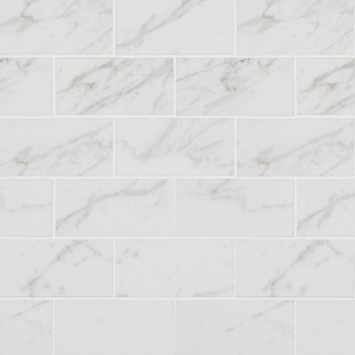 MS International Pietra 2" x 4" Mosaic Polished Carrara