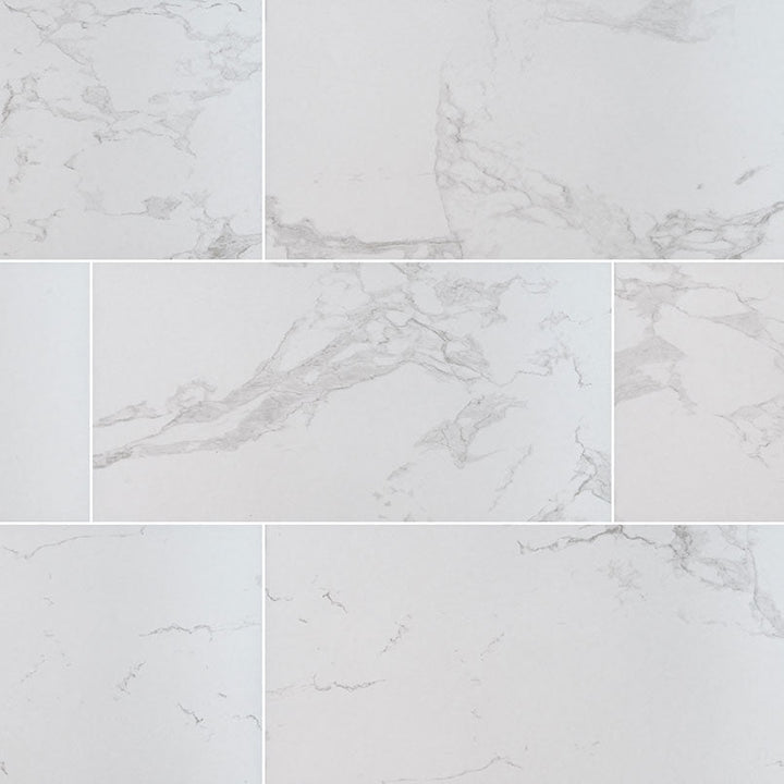 MS International Praia 12" x 24" Polished 9.6mm Carrara