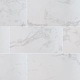 MS International Praia 12" x 24" Polished 9.6mm Carrara