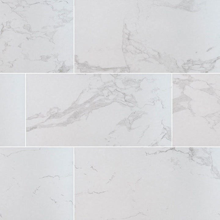 MS International Praia 24" x 48" Matte 9.6mm Carrara