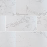 MS International Praia 24" x 48" Matte 9.6mm Carrara