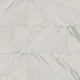 MS International Regallo 12" x 24" Matte Calacatta Isla