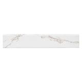MS International Savoy 3" x 24" Bullnose Matte Crema