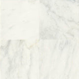 Daltile Marble 12" x 12" Honed First Snow Eleg