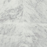 Daltile Marble 18" x 18" Honed Carrara White