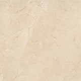 Emser Crema Marfil 18"x18"  Plus