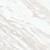 Daltile Perpetuo 12" X 12" Polished Timeless White