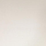 Daltile Pzazz 12" X 24" White Ritz