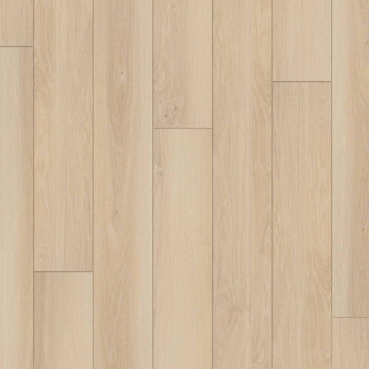 Happy Feet Regency 7" x 59.05" 8mm 20mil Stabilicor Plus (SPC) Sandy Bay