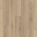 Happy Feet Regency 7" x 59.05" 8mm 20mil Stabilicor Plus (SPC) Windsor