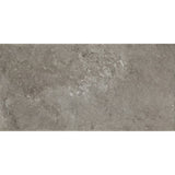 Daltile Scripter 12" X 24" Rebel