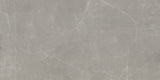 Emser Sterlina II 24"x47" Polished Dove