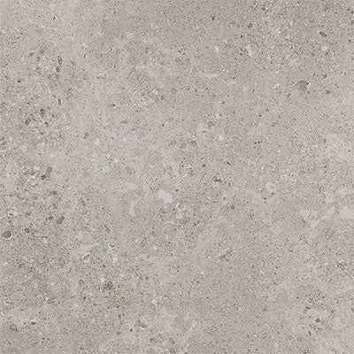 Daltile Dignitary 12" x 24" Rectangle Matte Superior Taupe