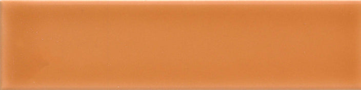 Emser Triveni 2" X 8" Glossy  Canyon 