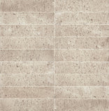 Marazzi Curation 2" x 9" Matte Stucco