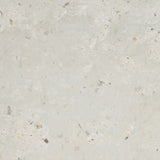 Emser Anvaya  12" x 12" Matte Aster