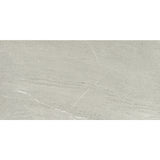 Emser Caru 12" x 24" Matte Rengo
