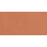 Emser Claytone 12" x 24" R11 Coral