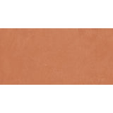 Emser Claytone 24" x 47" R11 Coral