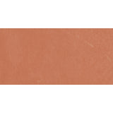 Emser Claytone 12" x 24" Matte Coral