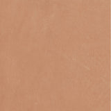 Emser Claytone 24" x 24" R11 Sand