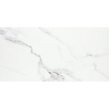 Emser Contessa 24" x 47" Matte Dama