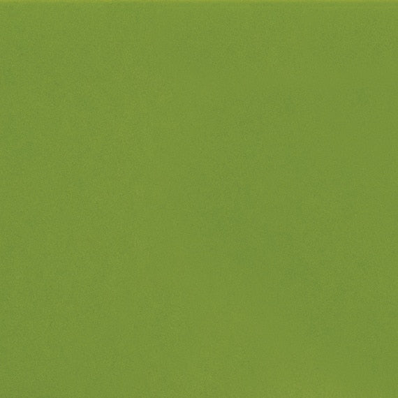 Daltile ColorMatch 2'' x 2" Straight Mosaic 12'' x 24'' Matte Matte Fern