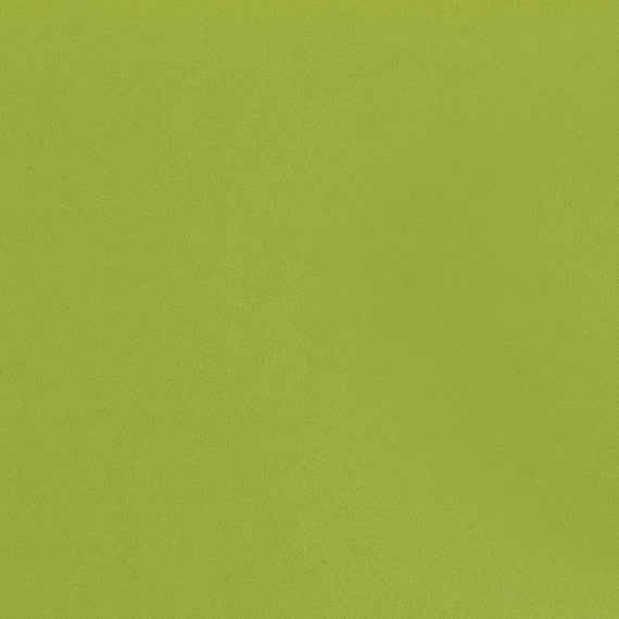 Daltile Natural Hues 8'' x 8'' Matte Kiwi