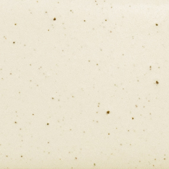 Daltile Natural Hues 8'' x 8'' Matte Freckles