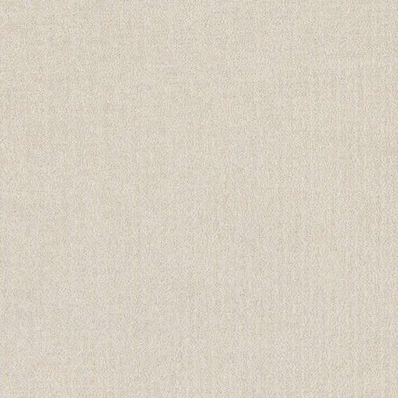 Daltile Prime 12" X 12" Square Matte KC01 White