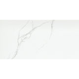 Emser Duchessa 12" x 24" POLISHED Silver