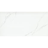 Emser Duchessa 24" x 47" Matte Silver