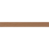 Emser Eclissi 2" x 20" Matte Cotto