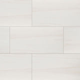 MS International Eden 12" x 24" Matte Dolomite