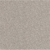 Emser Fragmento SM 12" x 24" Matte Sm Fawn