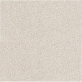 Emser Fragmento SM 12" x 24" Matte Sm Pearl