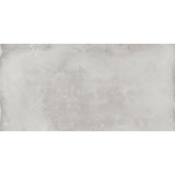 Emser Luminix 24" x 47" Matte Fumo