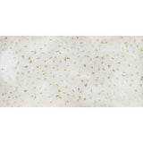 Emser Luminix 24" x 47" Speck Honed Grecia
