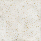 Emser Luminix 47" x 47" Speck Honed Grecia