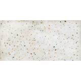 Emser Luminix 24" x 47" Speck Matte Multi